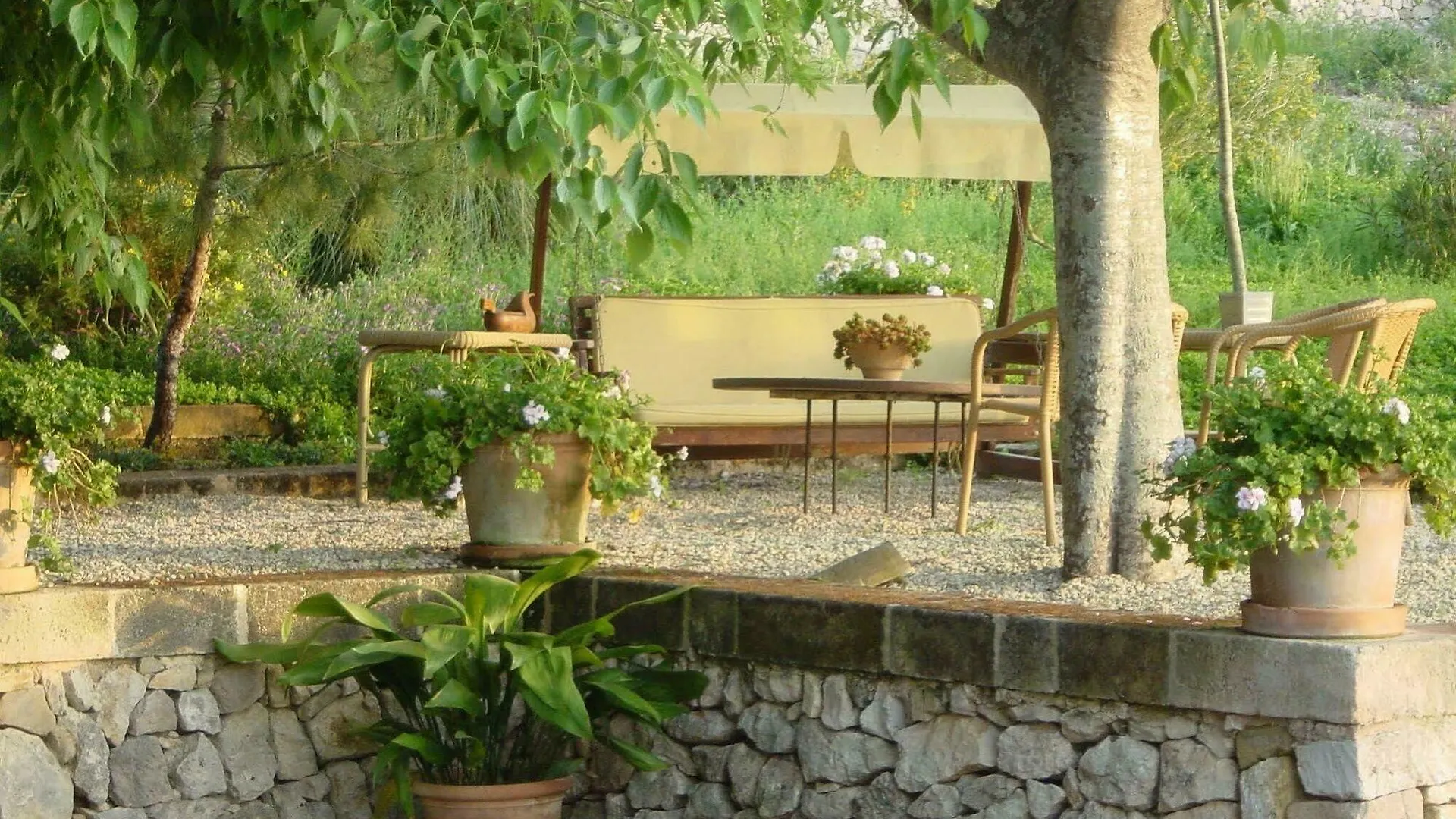 Finca Sa Rota Lloret de Vistalegre